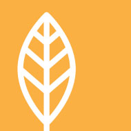 Orange Leaf Logo