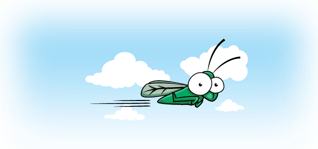 A cartoon fly.
