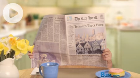 Newspaper with the headline "Termites wreck home."
