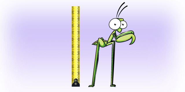 A cartoon praying mantis with long legs next to a tape measure.
