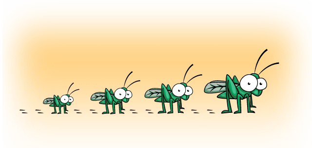 Cartoon insects of varying sizes.