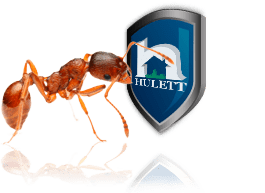 An ant in front of the Hulett logo.