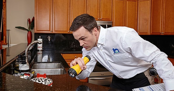 A technician inspecting a kitchen counter for bugs.