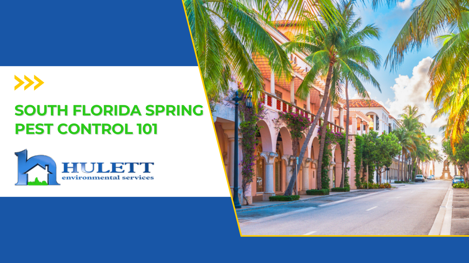 branded Hulett pest control graphic with an image of palm trees lining a street in West Palm Beach