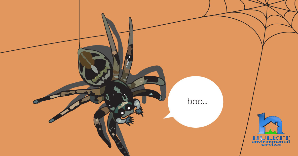 Cartoon spider with a speech bubble saying "boo..."