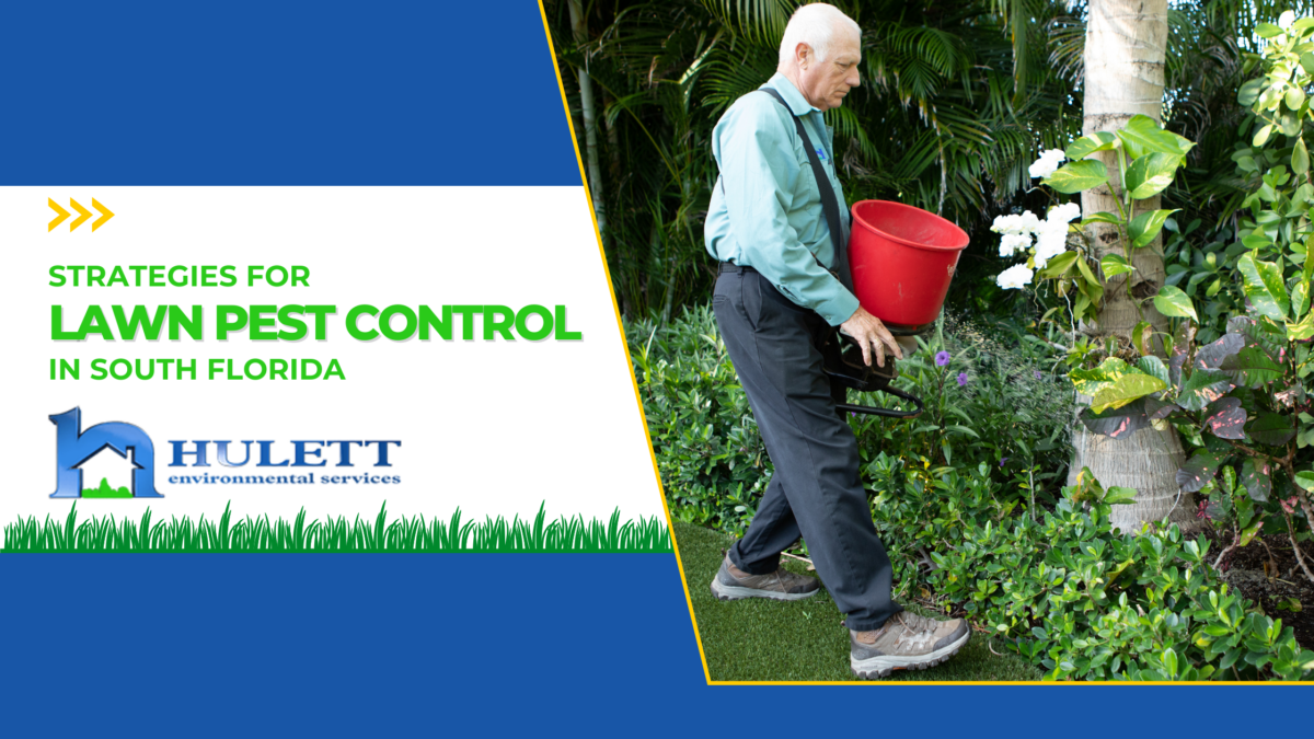 Strategies for Lawn Pest Control in South Florida | Hulett ...