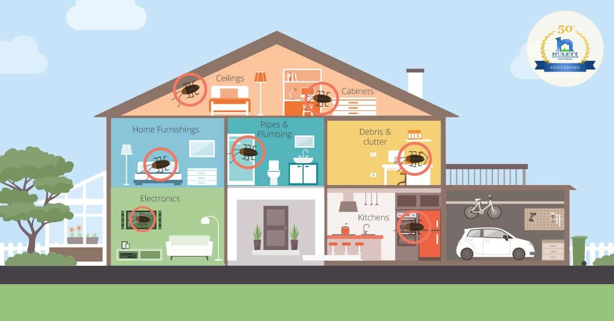 Diagram of a home showing different places where cockroaches can be found hiding. 