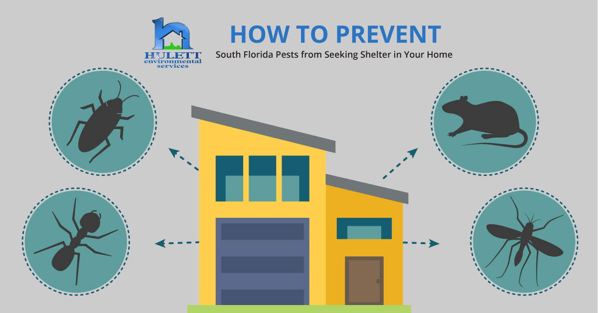 A home with the text "How to prevent south Florida pests from seeking shelter in your home."
