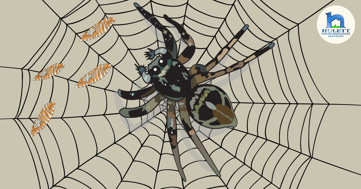 A cartoon spider in a web.