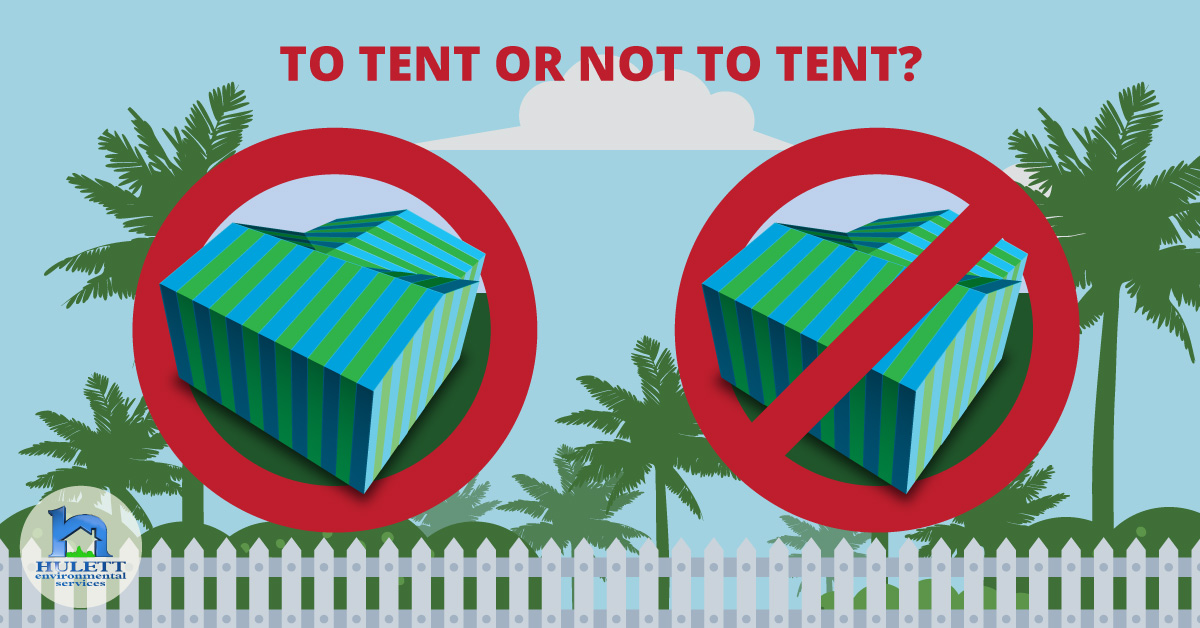 Two tents and the text "To tent or not to tent."