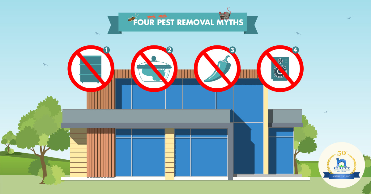 A cartoon home with the text "Four pest removal myths."