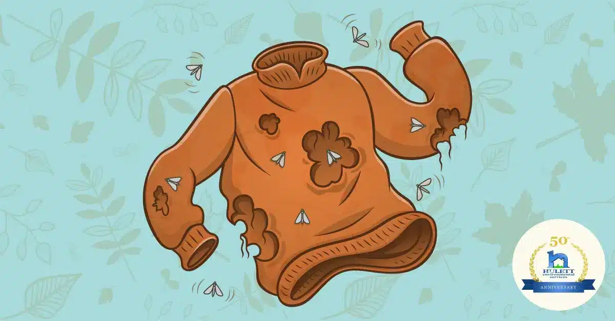 Cartoon moths eating a sweater.