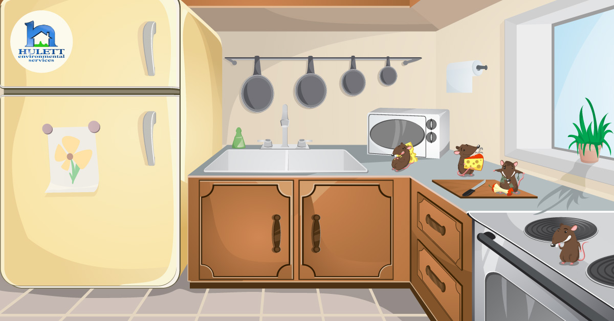 A cartoon kitchen with mice on the counters.