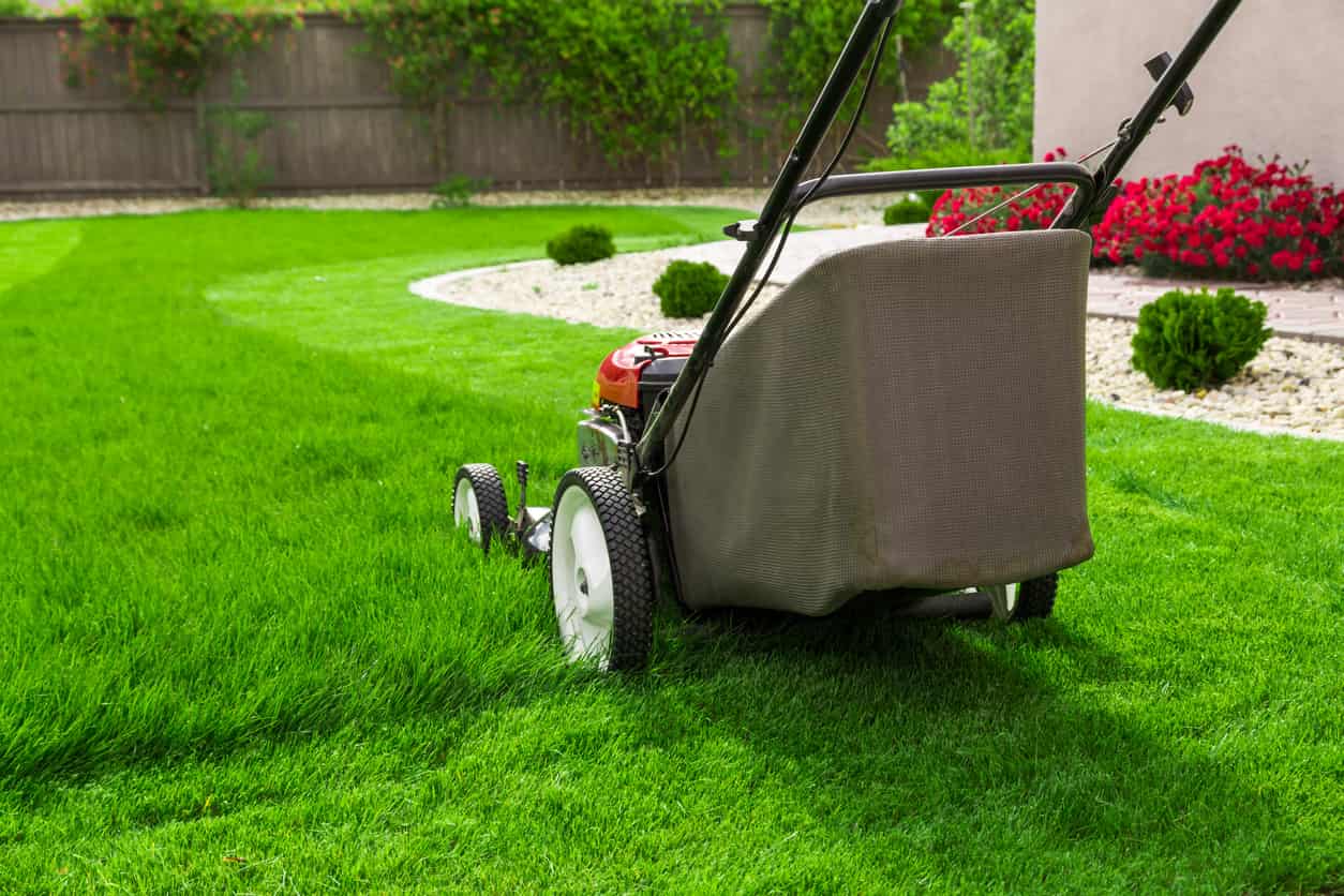 A lawnmower sits on a green lawn in the process of being mowed.