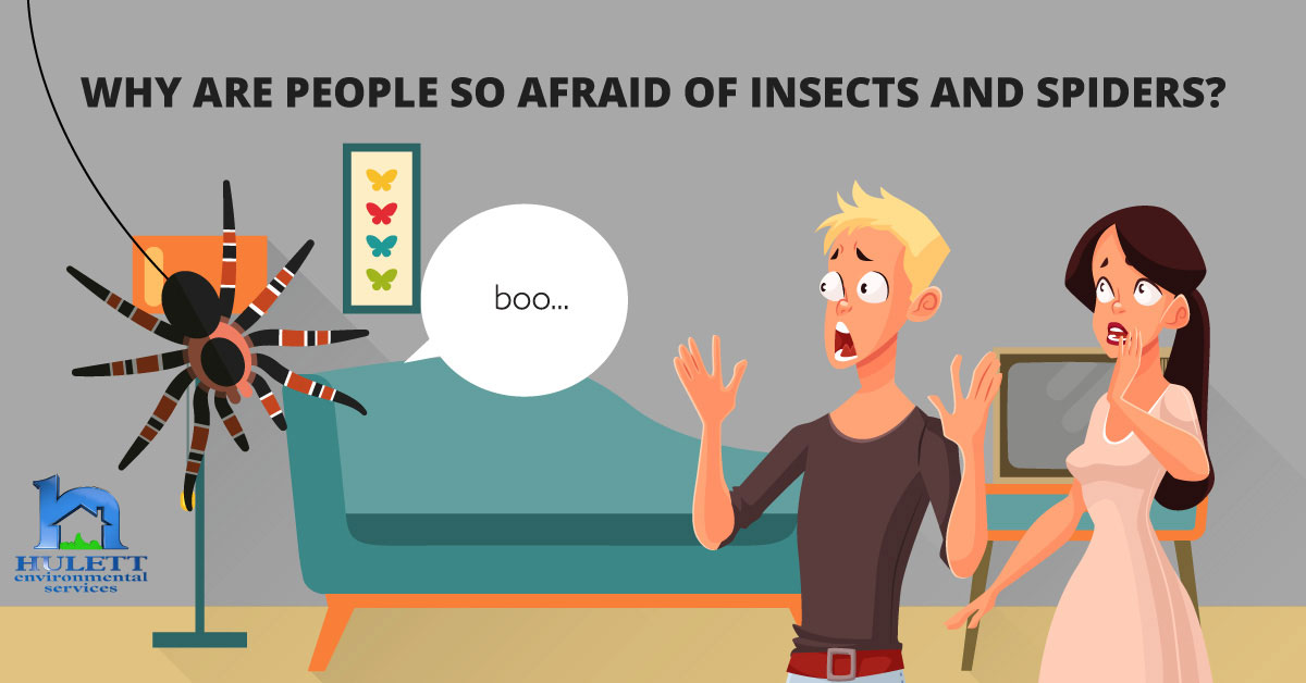 A cartoon depicting a man and woman being scared by a spider saying boo.