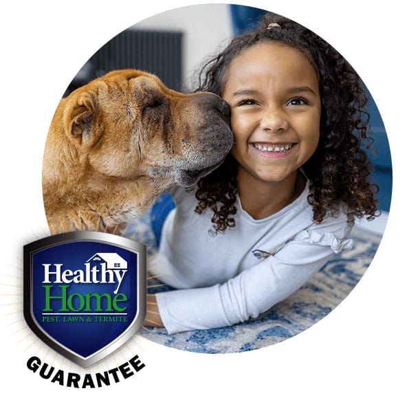 A young girl and dog with the Healthy Home guarantee logo.