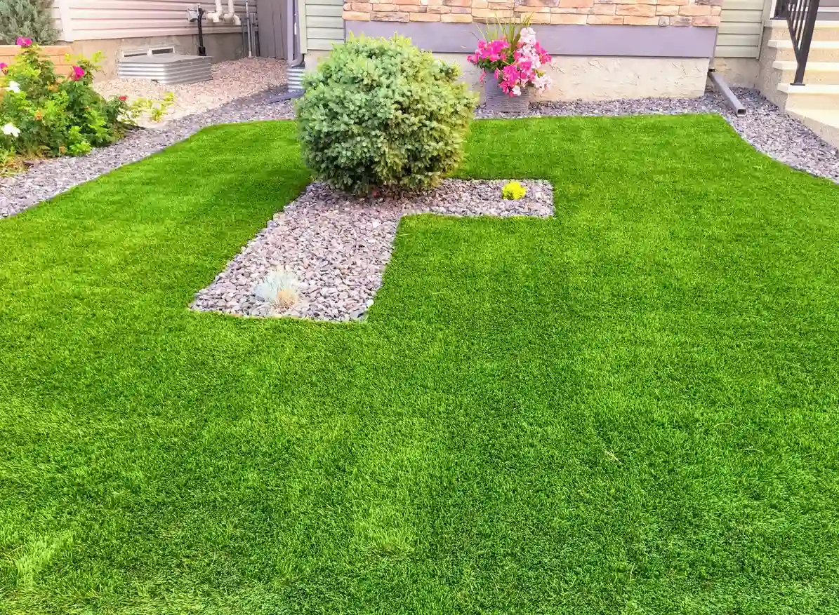 Well Manicured Lawn with a Bush and Rocks