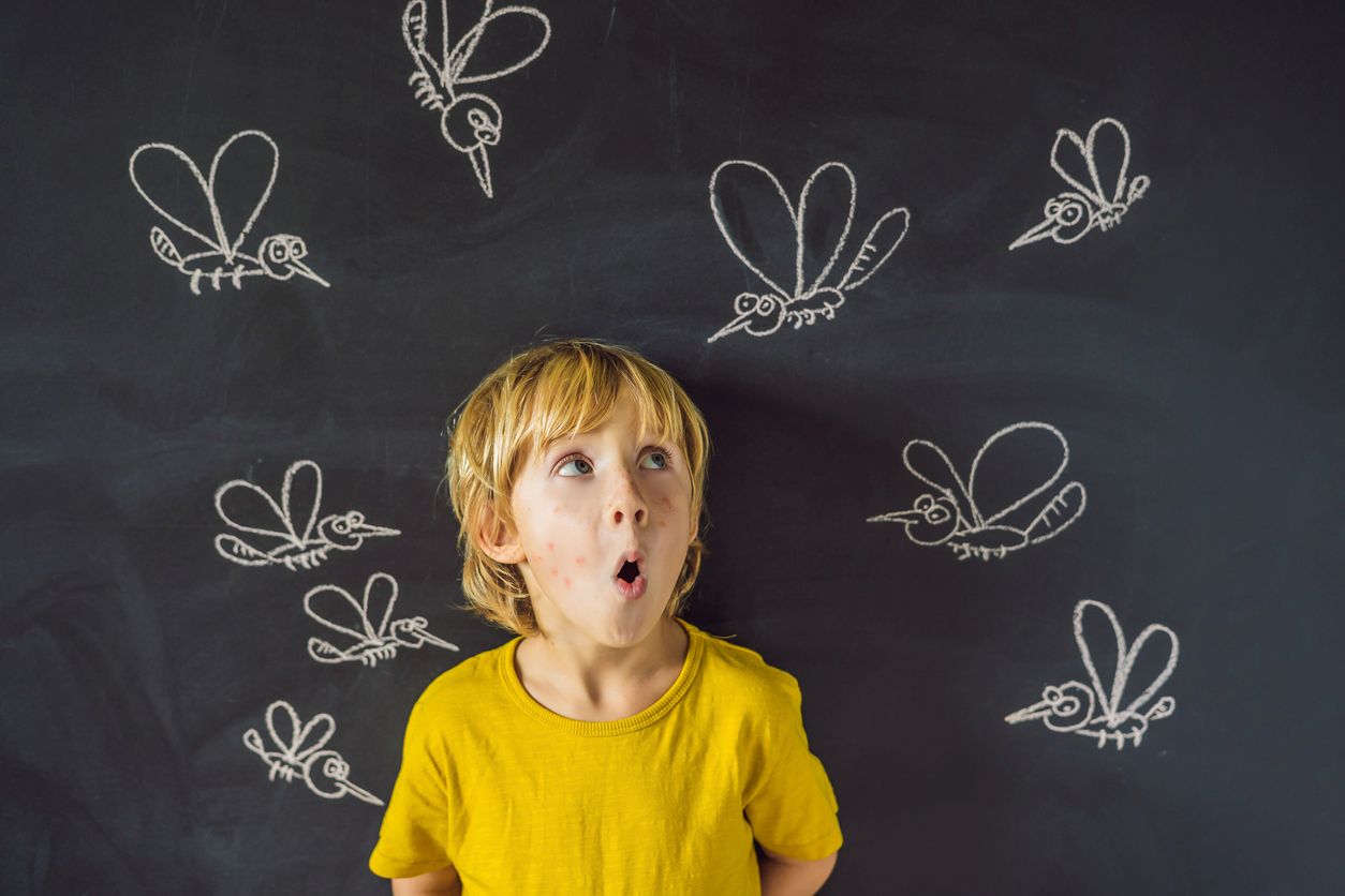 A little boy in front of a chalk board with mosquitos drawn on it