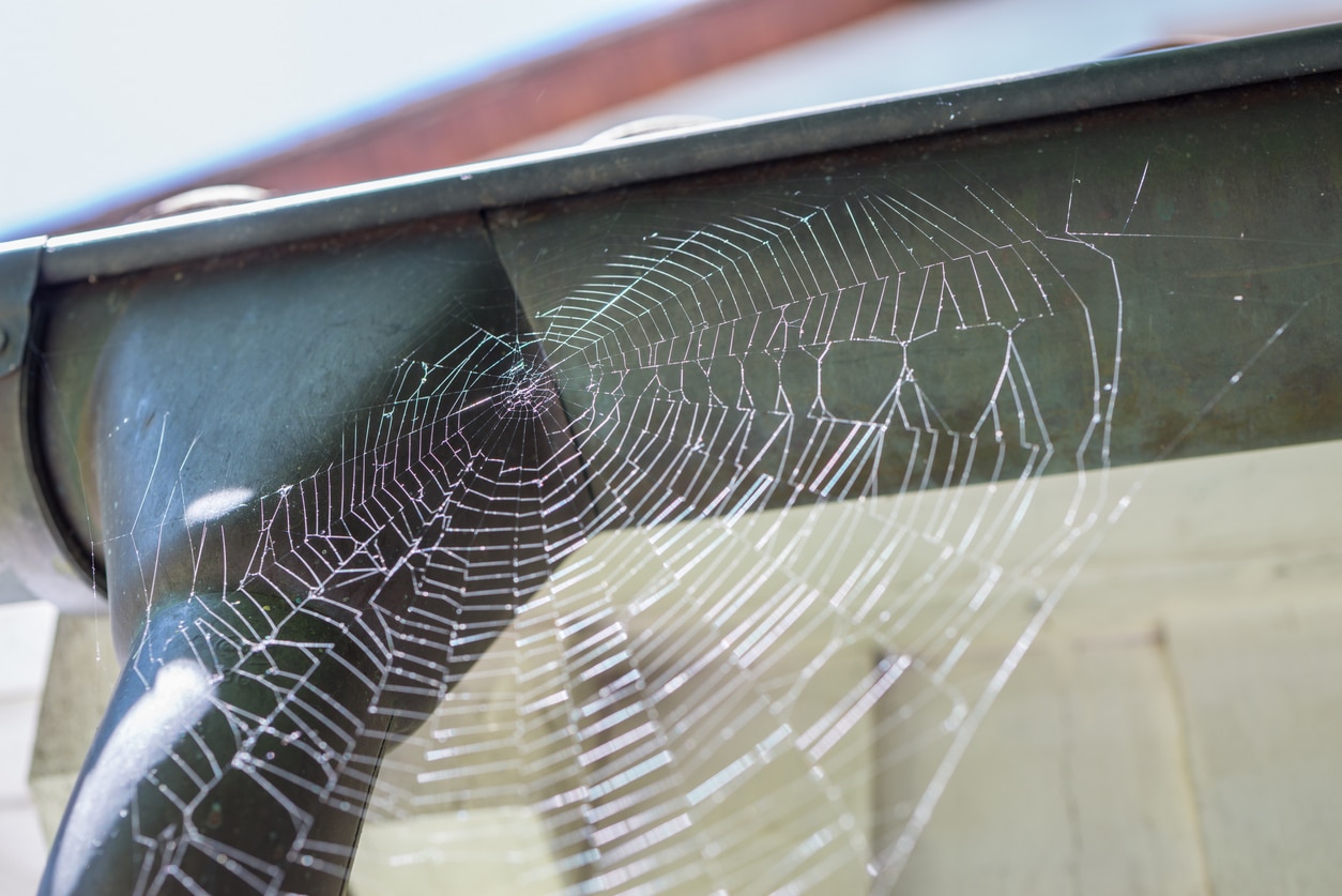 A spider web stretches across the gutters of a home.