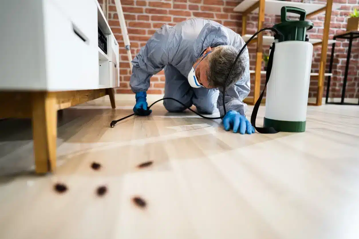 Pest control technician sprays under a couch for cockroaches
