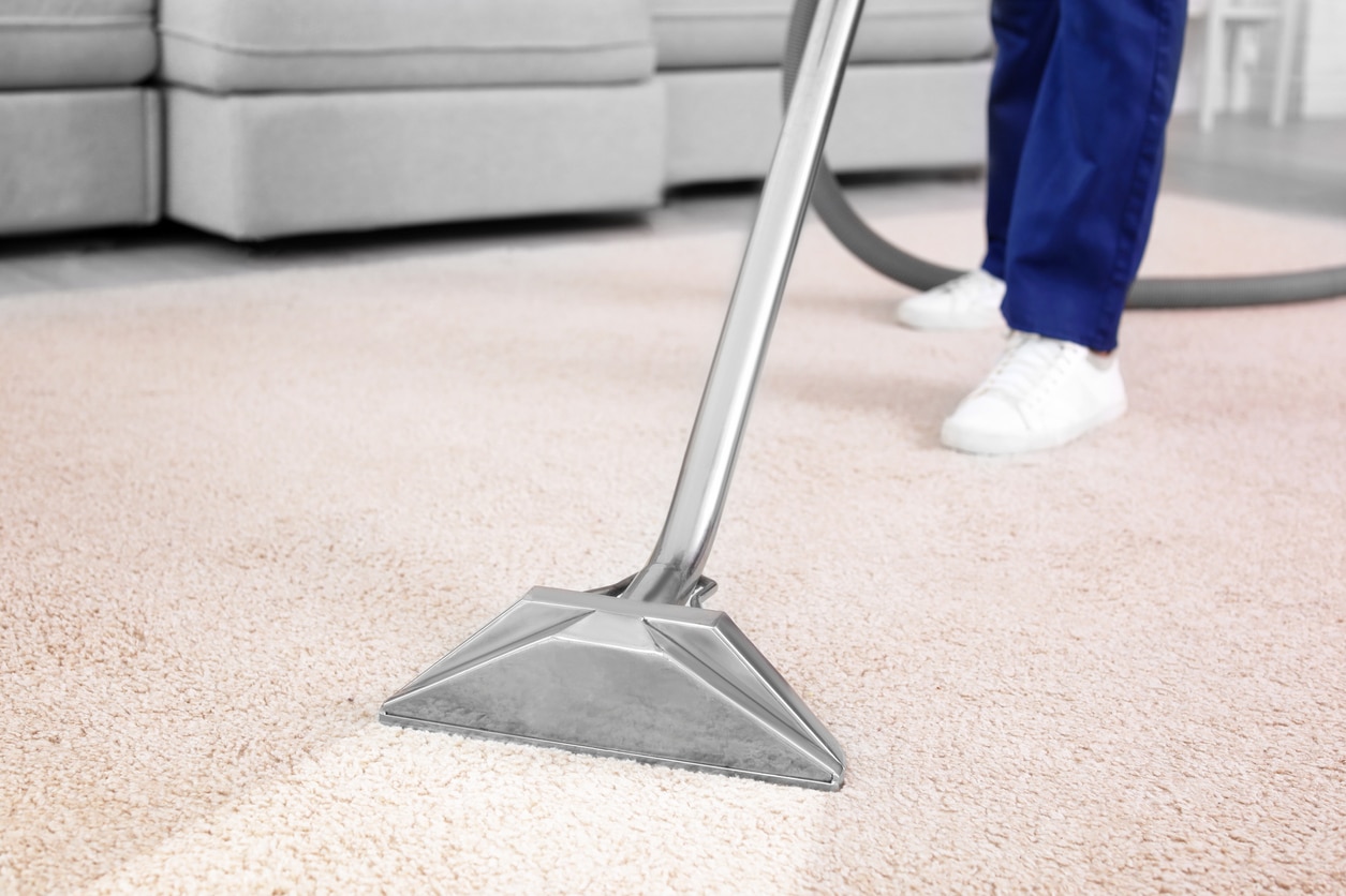 Vacuum cleaner on a white carpet cleaning for cockroaches