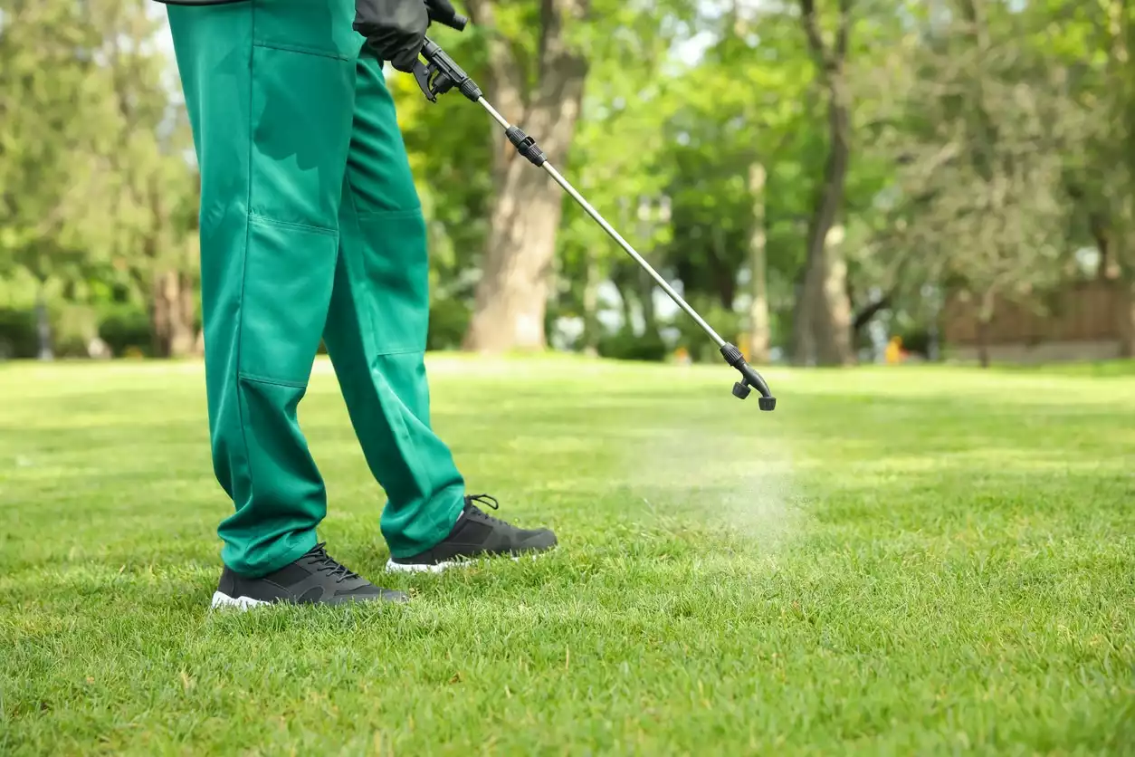 Pest control technicians spraying pesticide across a lawn.