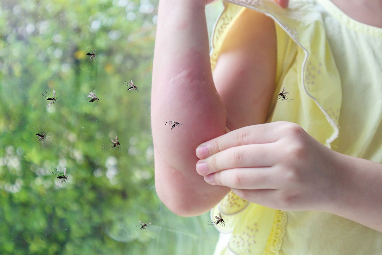 A group of mosquitos around an arm with many bites