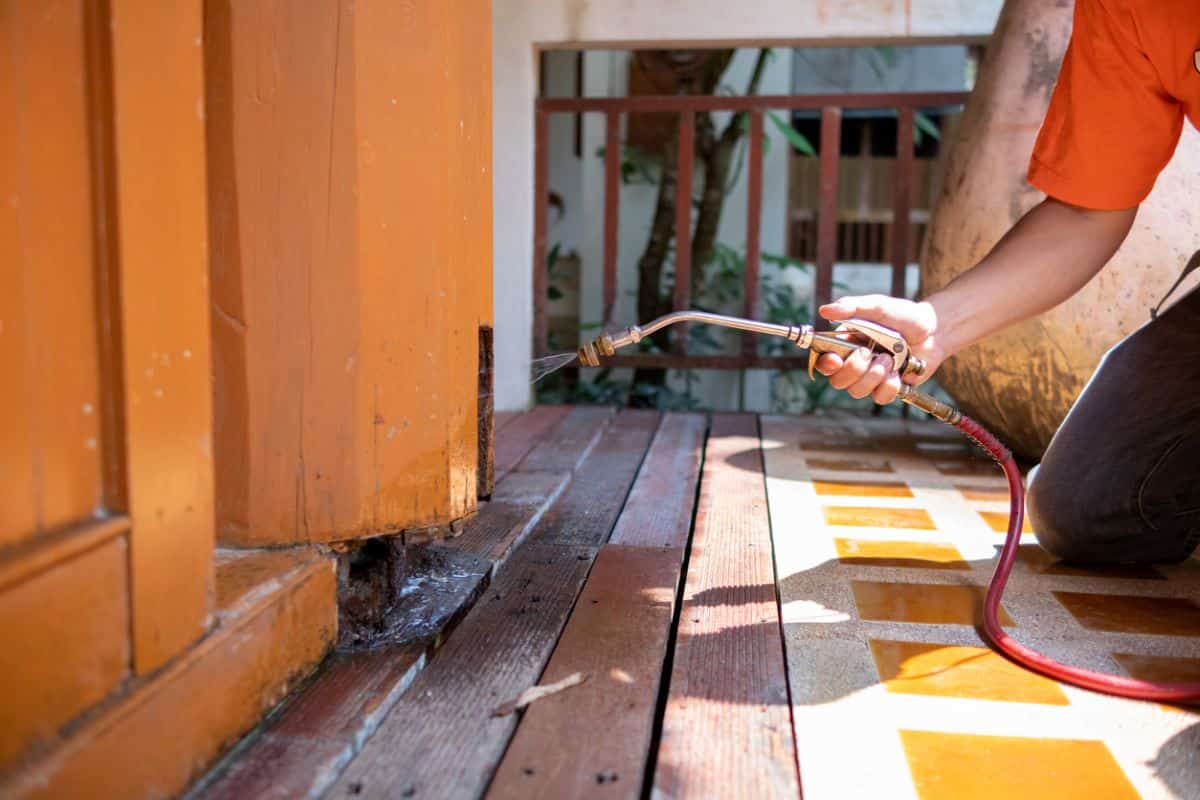 An exterminator applies a termite control spray to a home exterior.