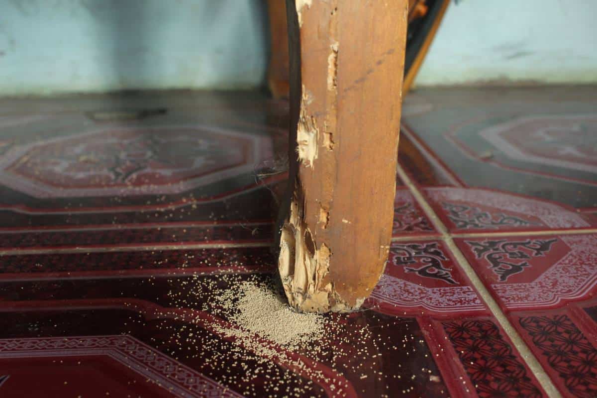 A piece of wooden furniture eaten by termites.