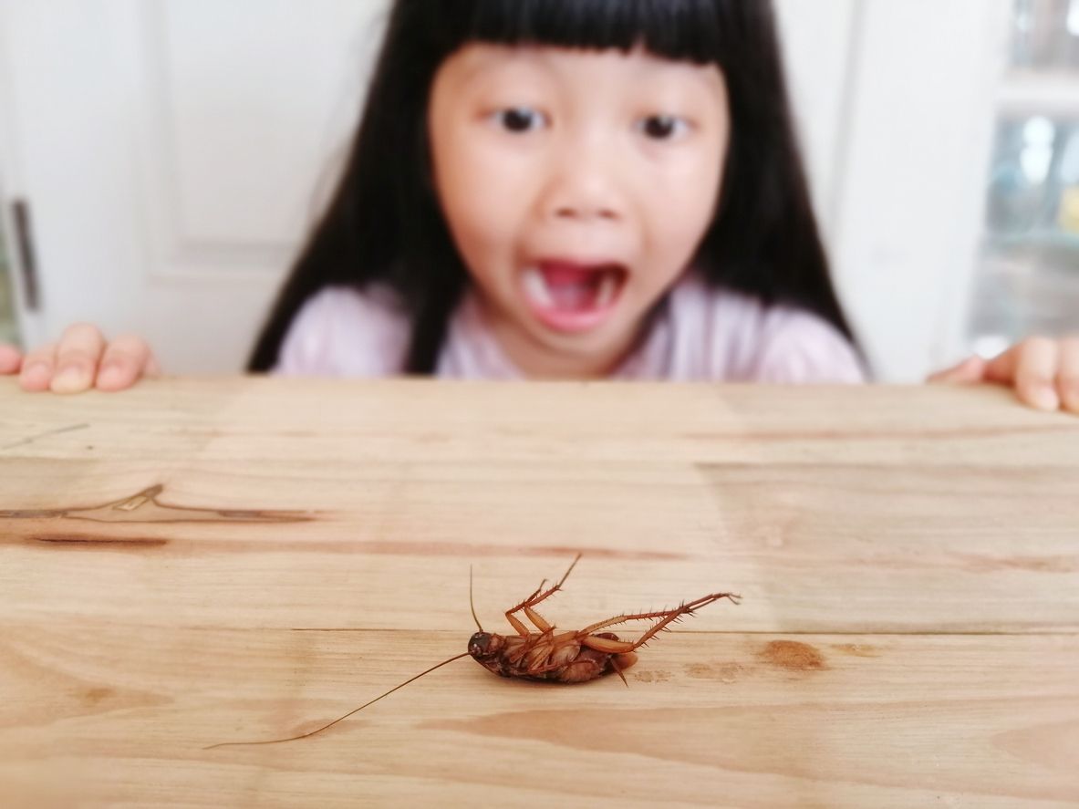 A girl screaming at a dead cockroach on a table