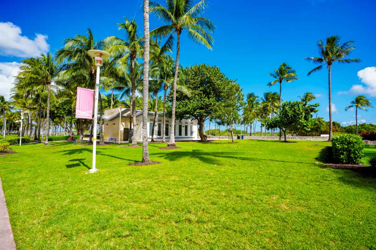 view of a south florida lawn with palm trees and a blue sky