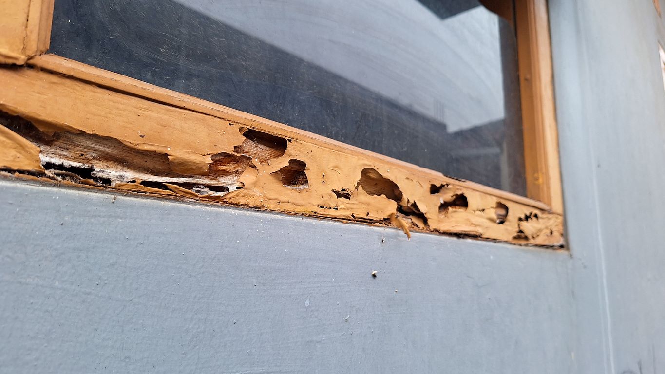 A wooden window with obvious termite damage