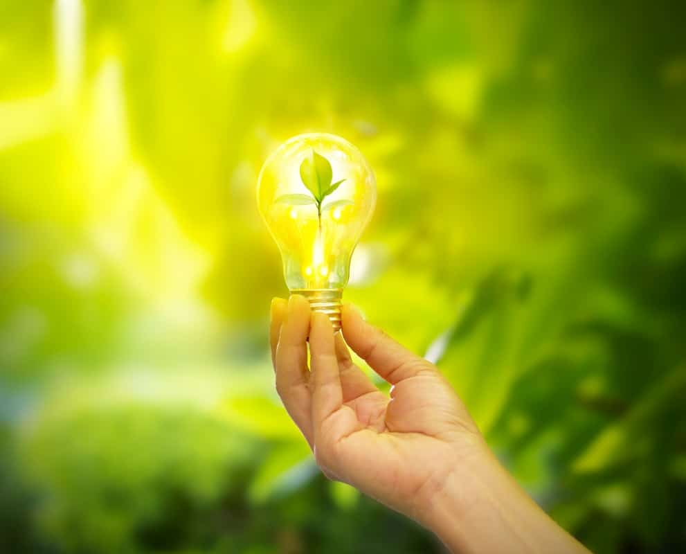 Hand holding light bulb with energy, fresh green leaves inside representing green pest control.