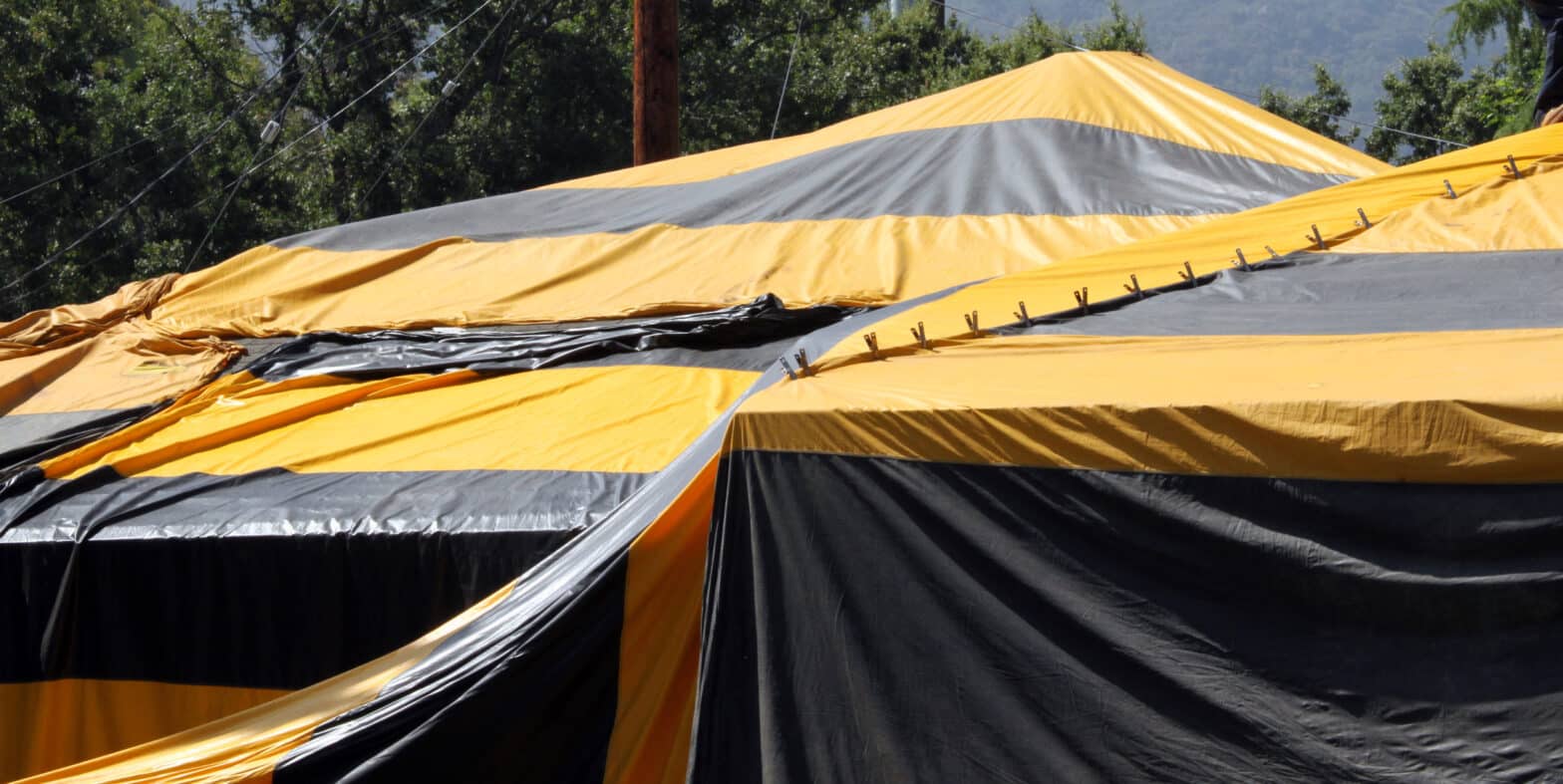 Black and yellow termite fumigation tent over an house.