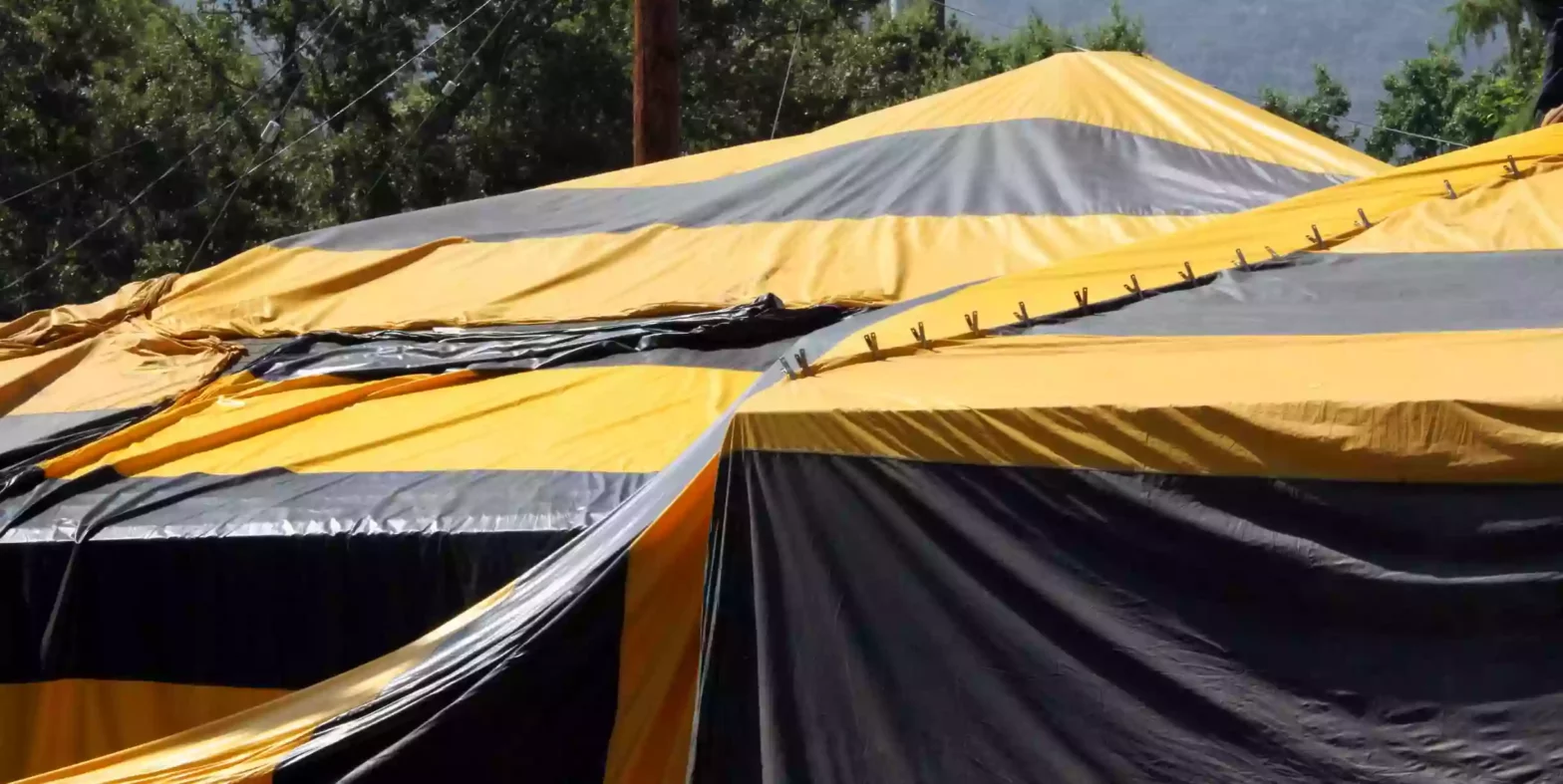 Black and yellow termite fumigation tent over an house.