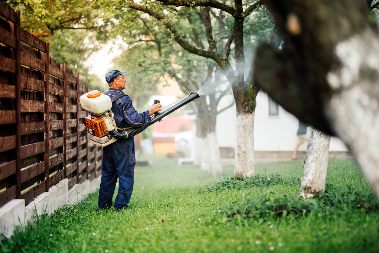 An exterminator applies a treatment to the trees.