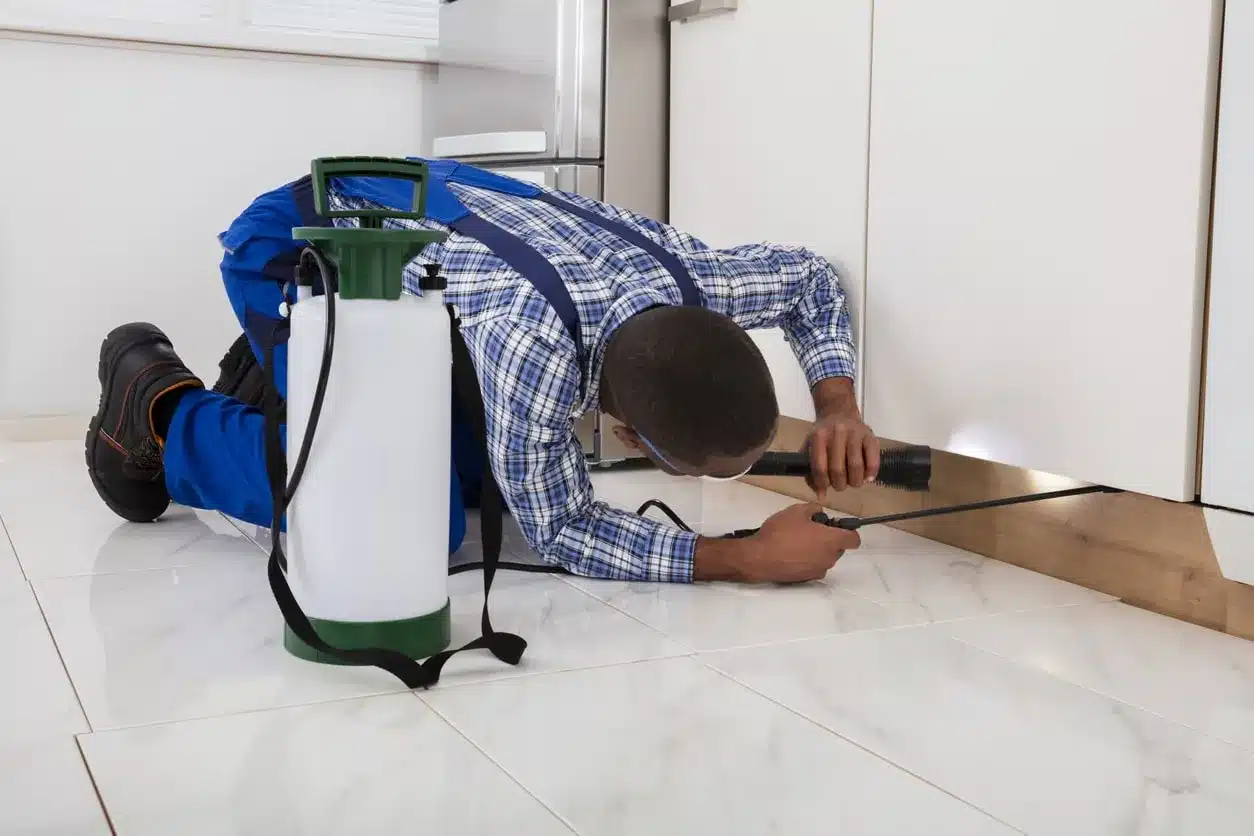 Exterminator inspecting baseboards and spraying for termites in a home. 