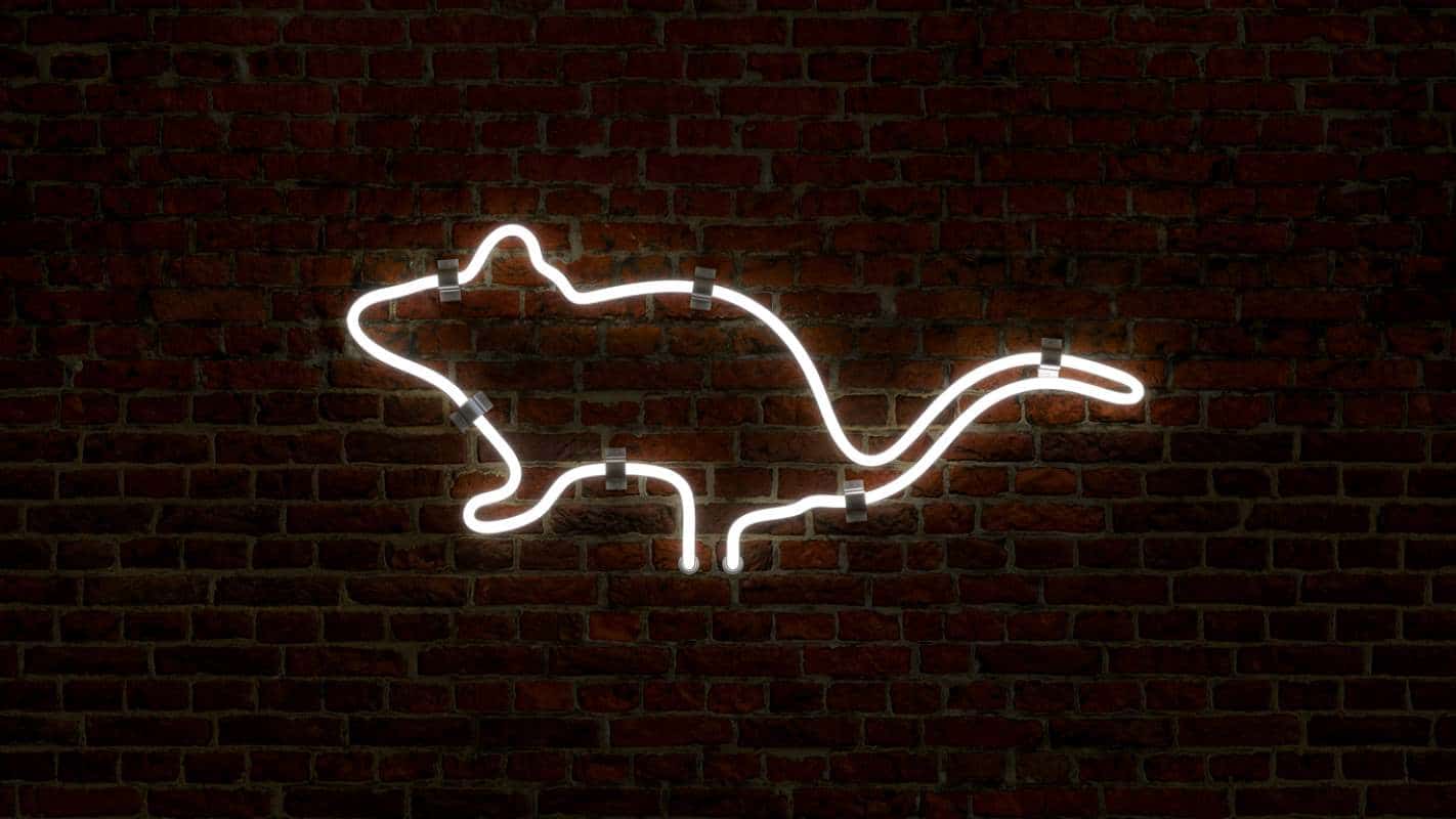 Neon outline of a rat on a brick wall background