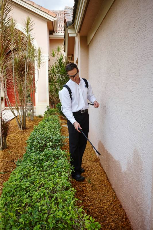 pest technician spraying treatment on the exterior perimeter of a house