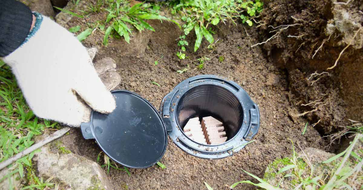 Termite Bait Stations & Traps: Do They Work?